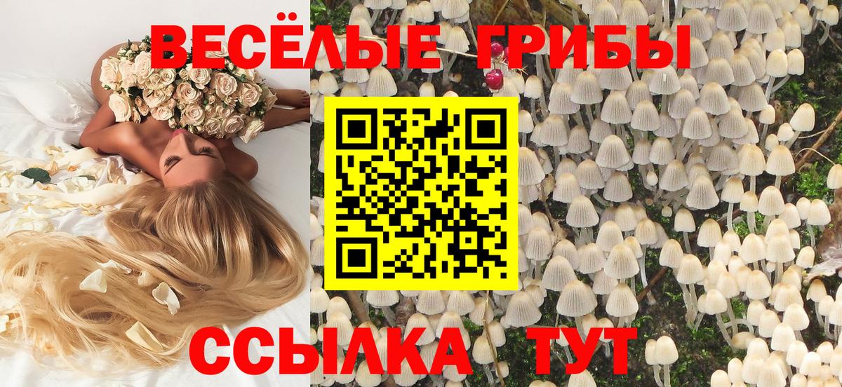 Галлюциногенные грибы GOLDEN TEACHER  Псилоцибиновые грибы Cubensis  Самара  Вход с VPN 