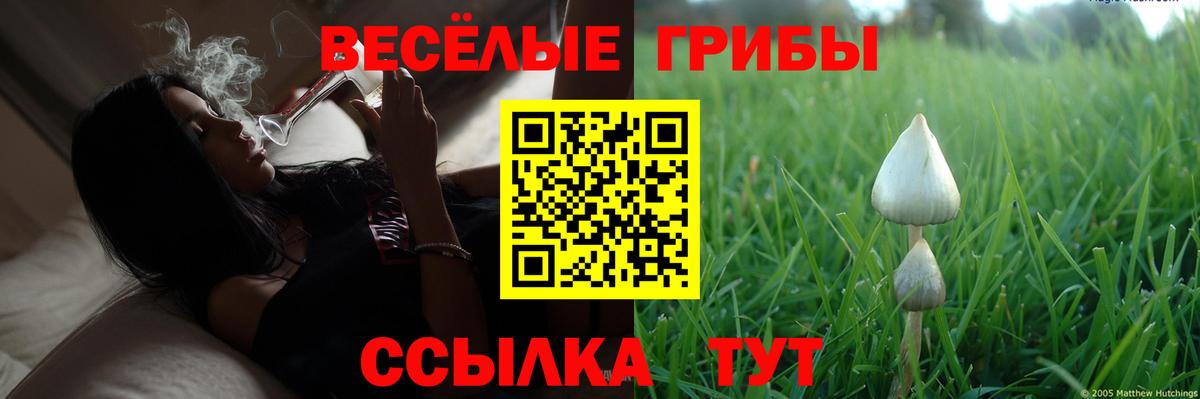 Галлюциногенные грибы MAGIC MUSHROOMS Самара